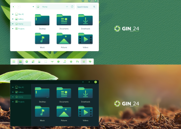 GIN 24 IconPack 7TSP